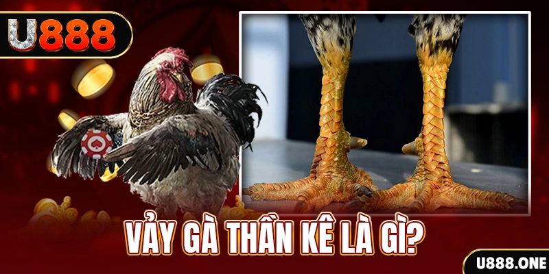 ky an 88 xổ số miền bắc thứ tư hàng tuần