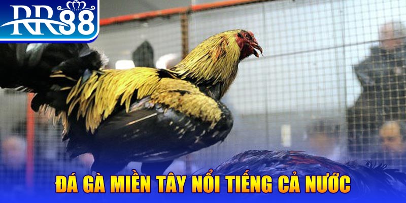 ky an 88 đăng nhập liêng miễn phí