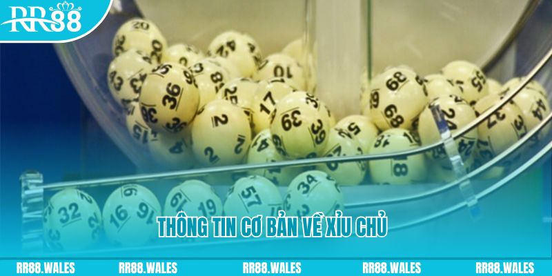 ky an 88 baccarat long bảo là gì